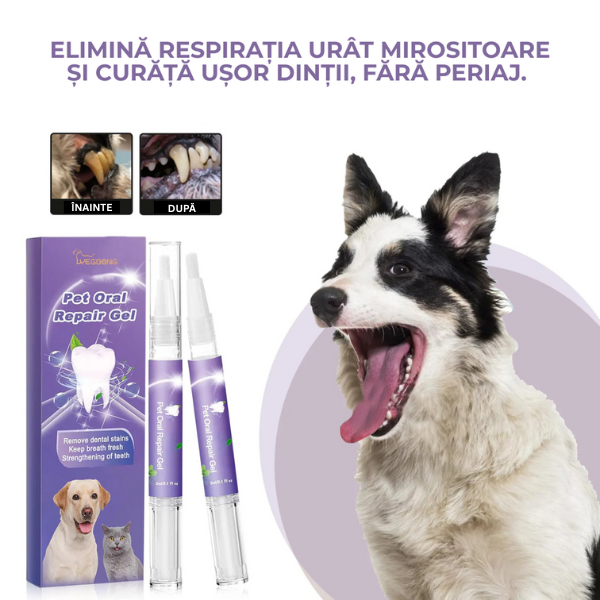 Set Natural pentru Igiena Orală la Animale de Companie
