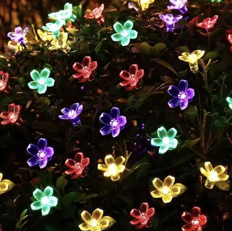 1+1 CADOU Instalație Solară 50 LED cu Flori, Aprindere Automată Seara